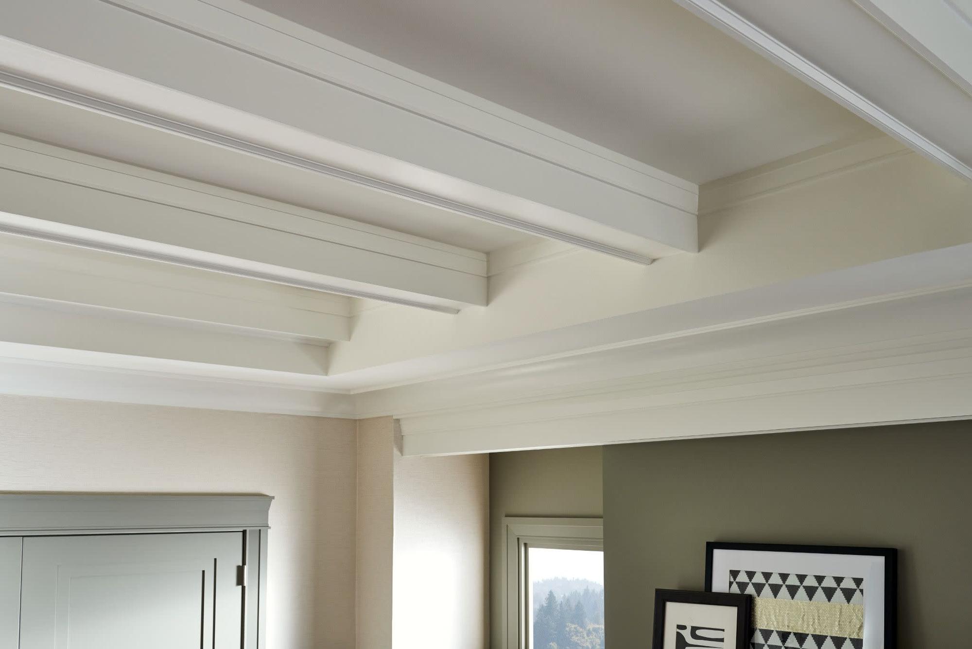 Option M - Contemporary Craftsman - Living Room - Ceiling- 2021