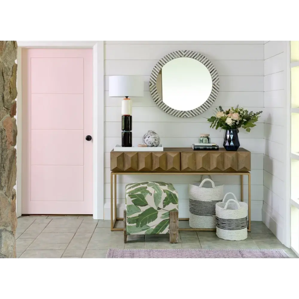 Pink Door and Shiplap.jpeg