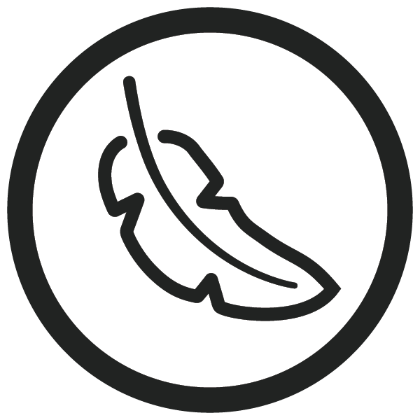 image of a feather
